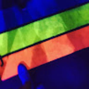 Meet your Posher, Diya